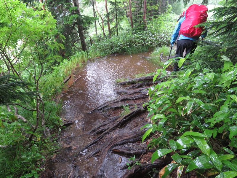 蝶ヶ岳〜徳沢〜上高地、登山