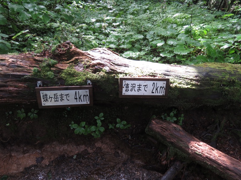 蝶ヶ岳〜徳沢〜上高地、登山