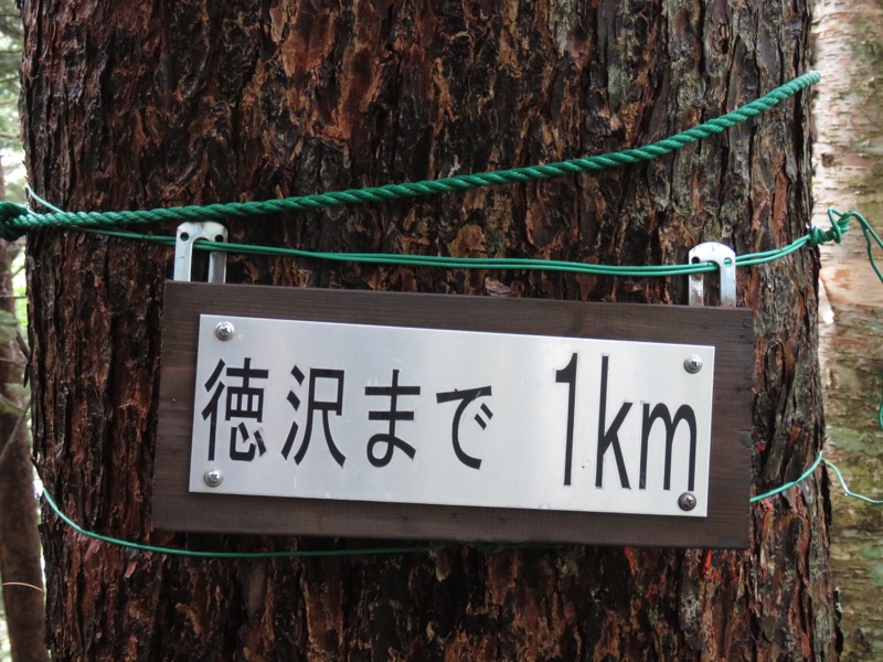 蝶ヶ岳〜徳沢〜上高地、登山