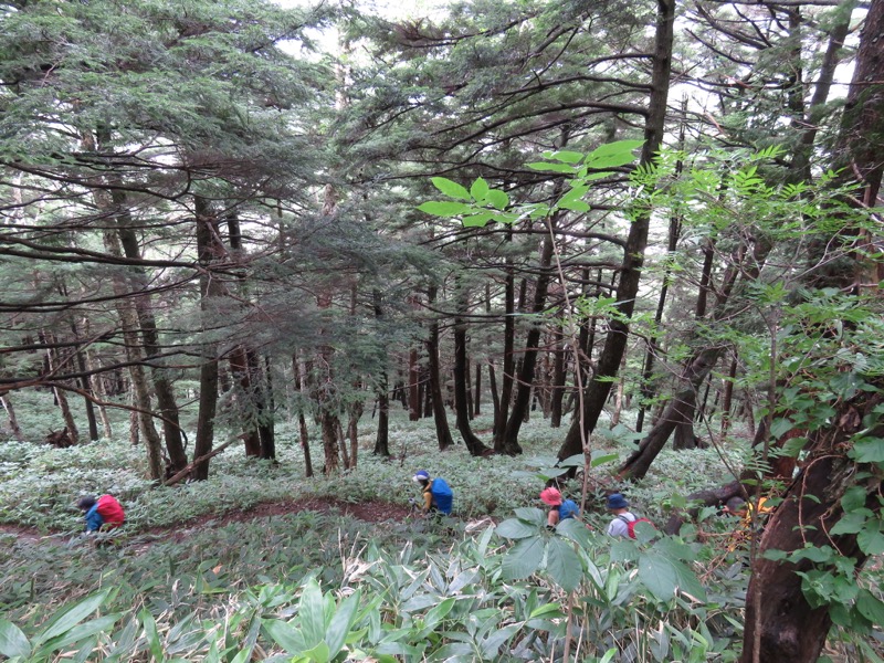 蝶ヶ岳〜徳沢〜上高地、登山