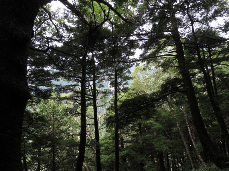 蝶ヶ岳〜徳沢〜上高地、登山