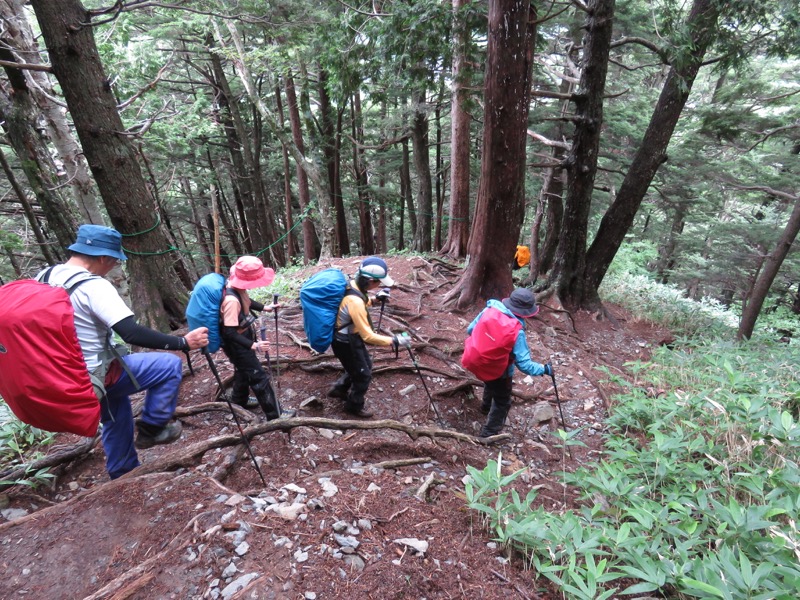 蝶ヶ岳〜徳沢〜上高地、登山