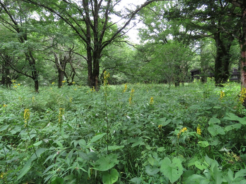 蝶ヶ岳〜徳沢〜上高地、登山