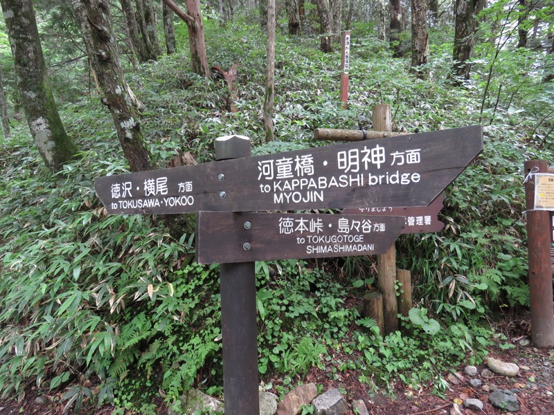 蝶ヶ岳〜徳沢〜上高地、登山