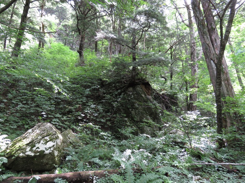 蝶ヶ岳〜徳沢〜上高地、登山