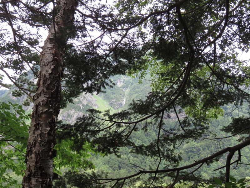 蝶ヶ岳〜徳沢〜上高地、登山