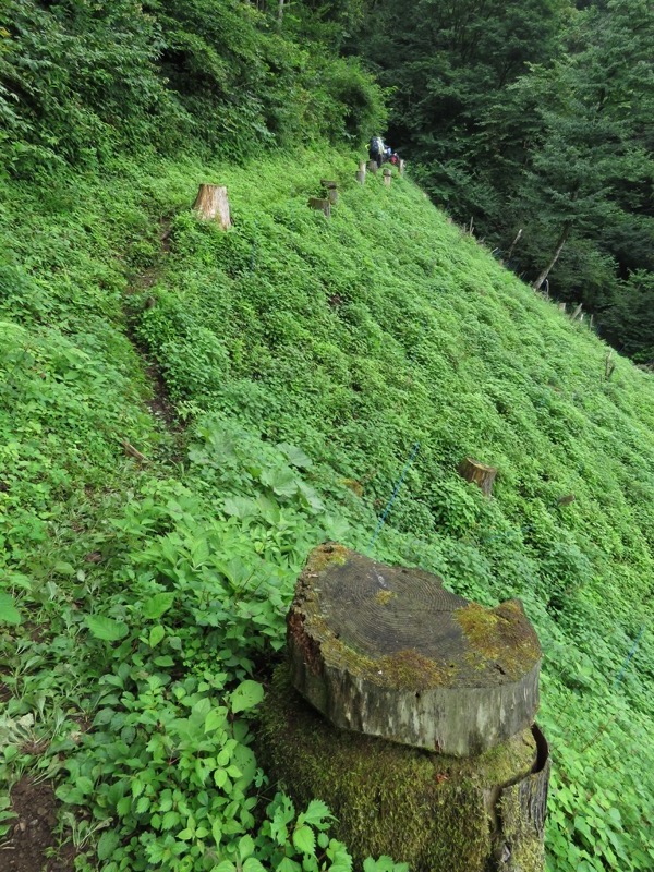 笹尾根