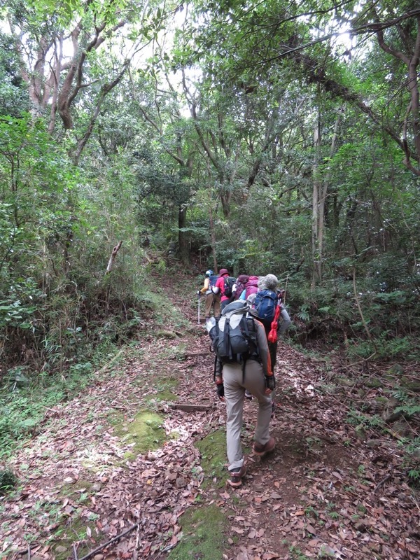 沼津アルプス登山