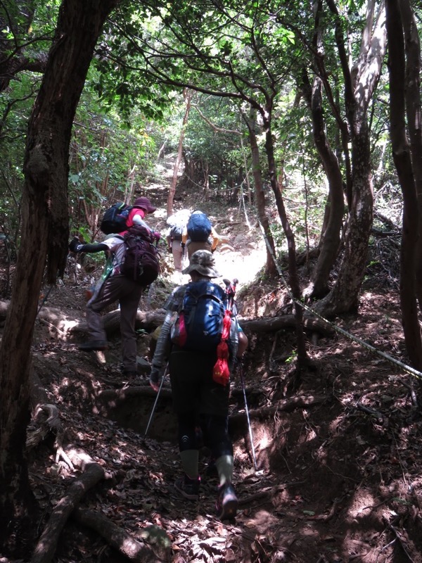 沼津アルプス登山