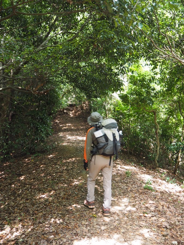 沼津アルプス登山