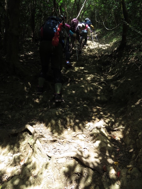 沼津アルプス登山