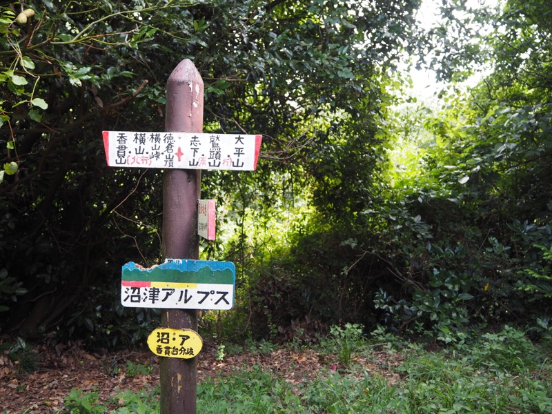 沼津アルプス登山