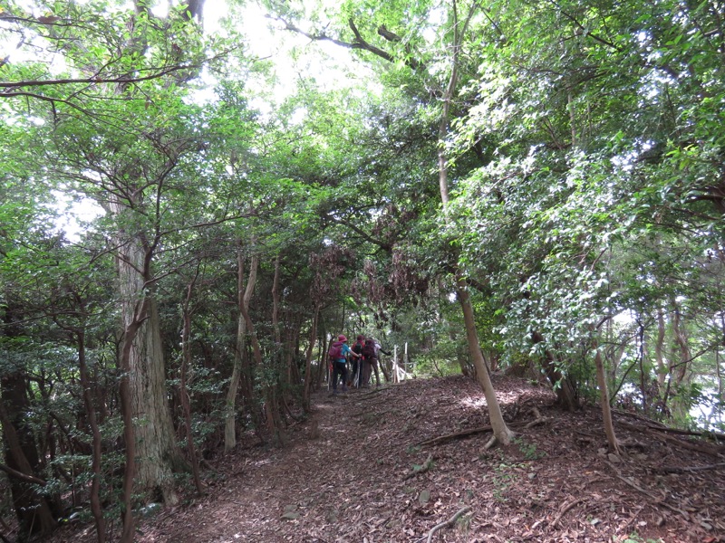 沼津アルプス登山