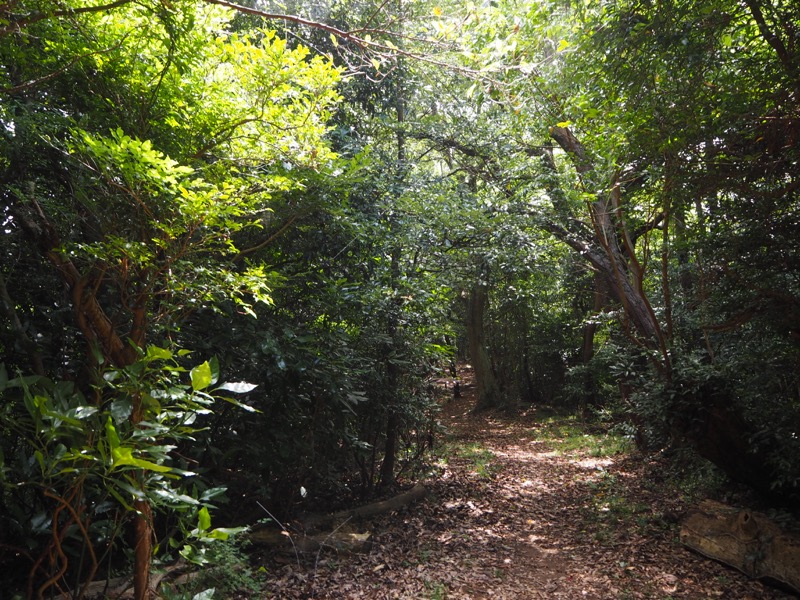 沼津アルプス登山