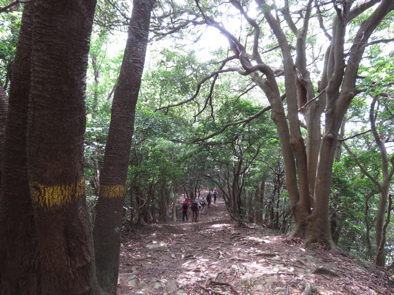 沼津アルプス登山