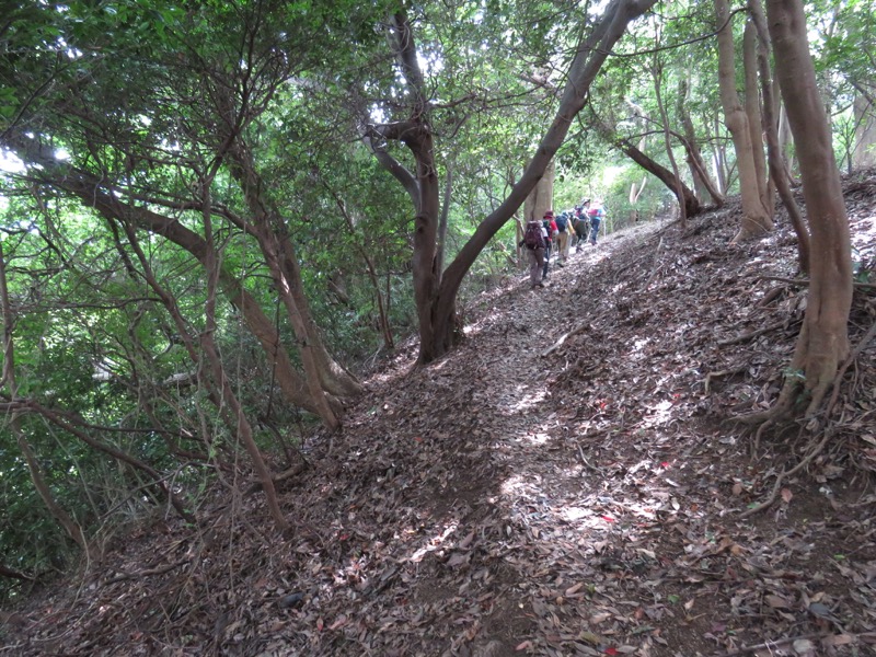 沼津アルプス登山