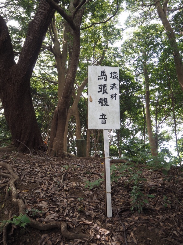 沼津アルプス登山