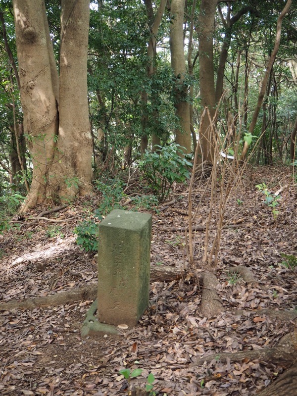 沼津アルプス登山