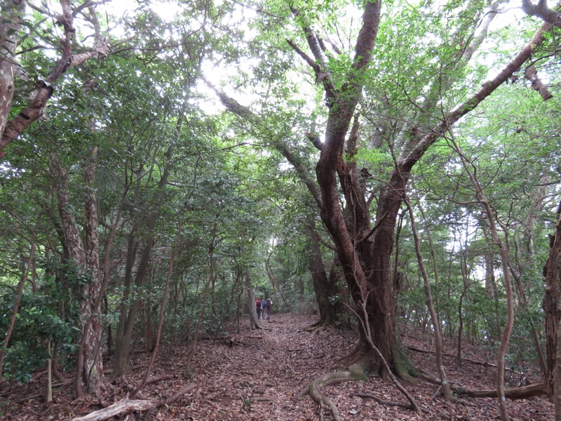 沼津アルプス登山