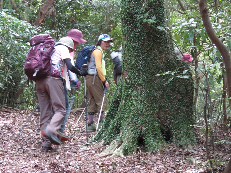 沼津アルプス登山