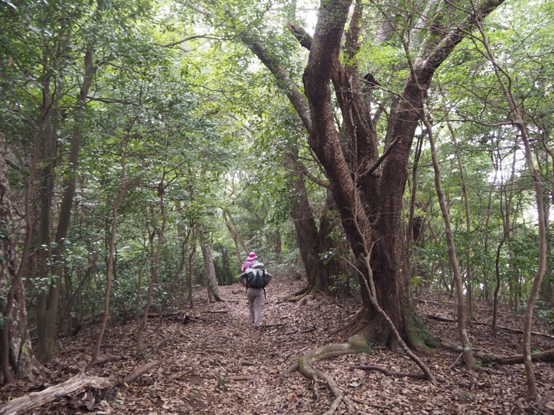 沼津アルプス登山