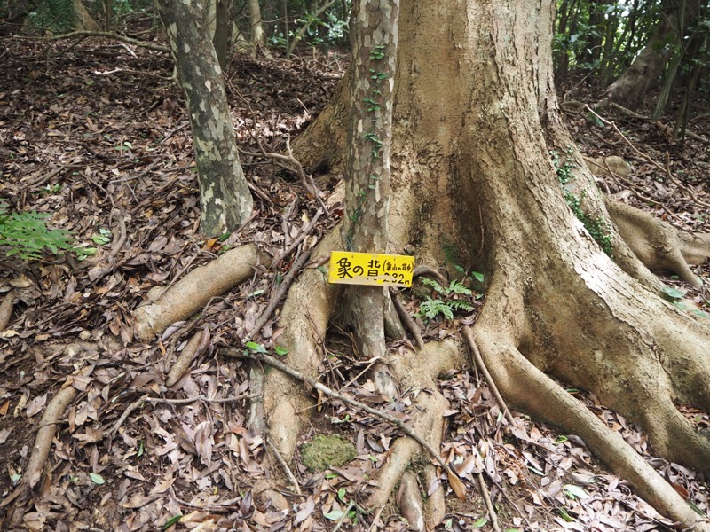 沼津アルプス登山