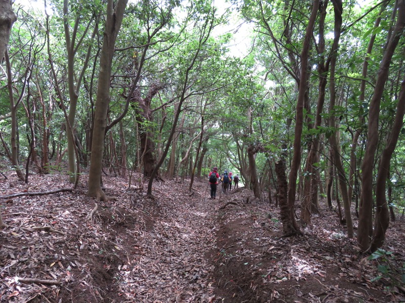 沼津アルプス登山