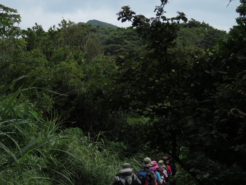 沼津アルプス登山