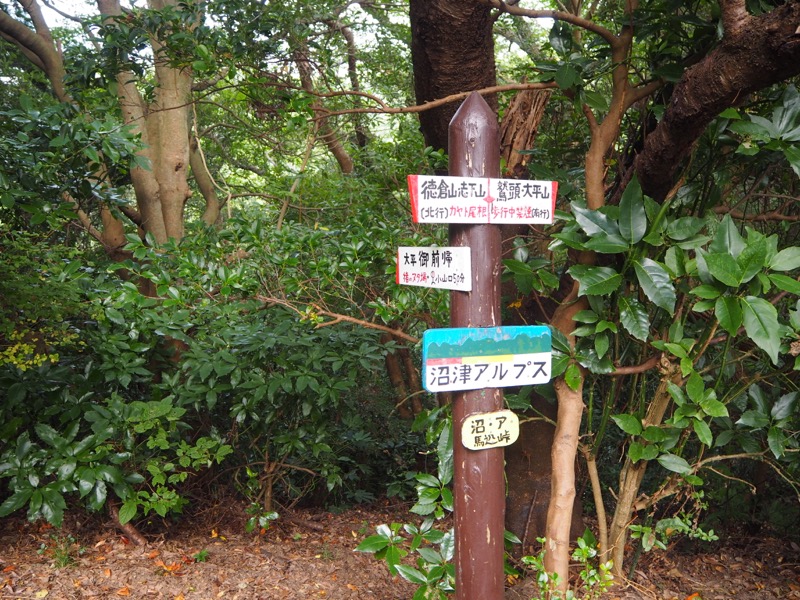 沼津アルプス登山