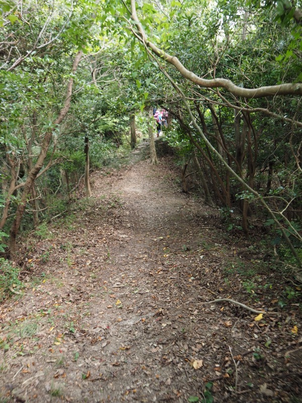 沼津アルプス登山