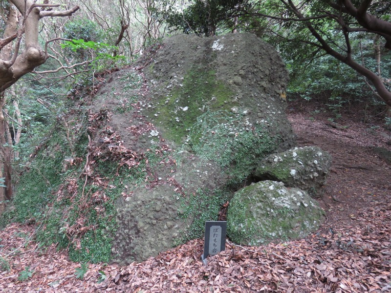 沼津アルプス登山