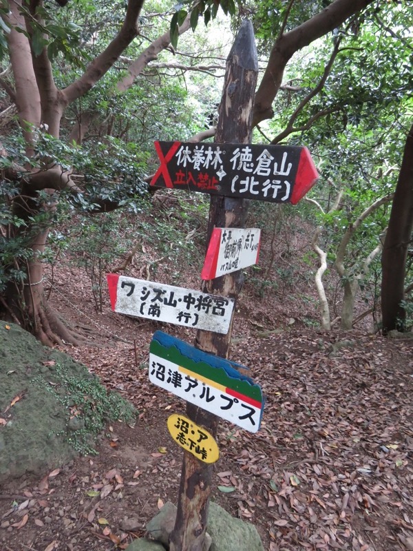 沼津アルプス登山