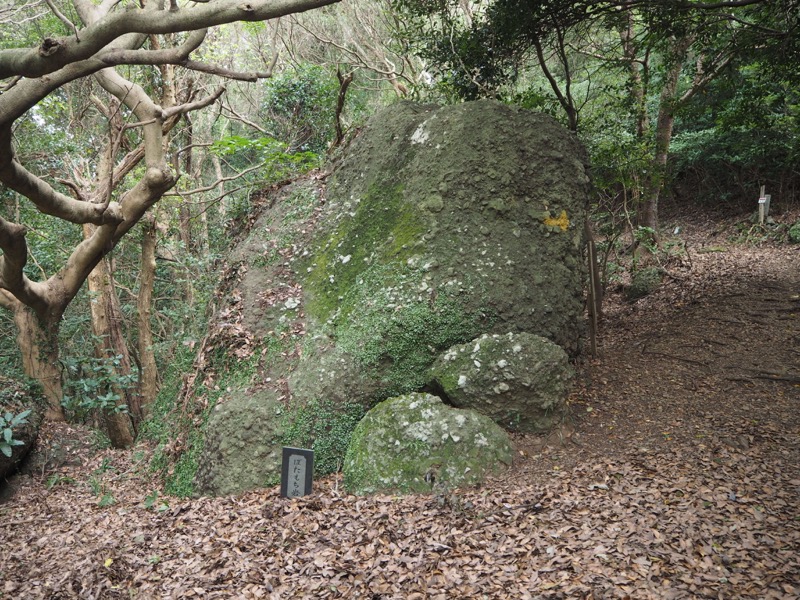 沼津アルプス登山