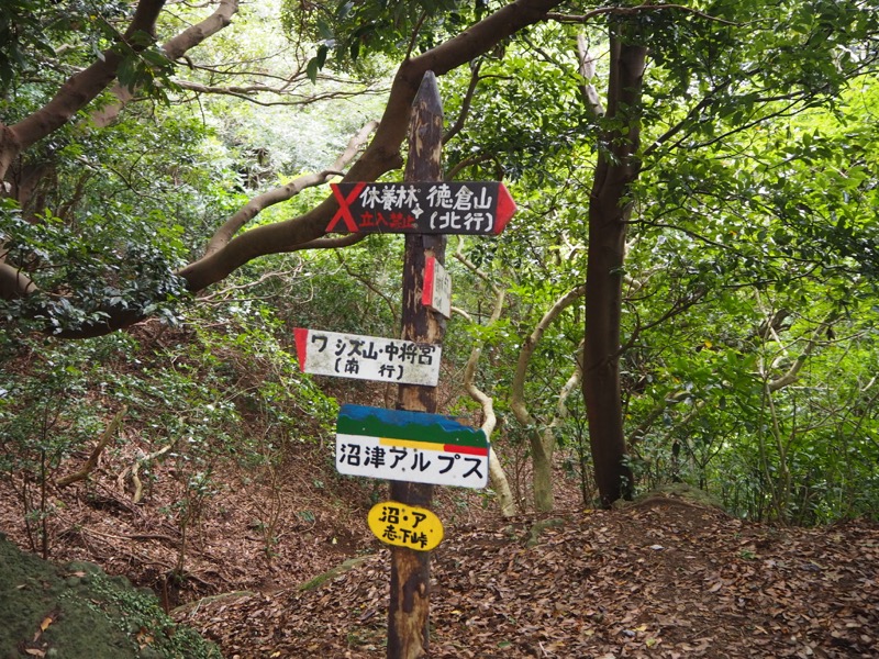 沼津アルプス登山