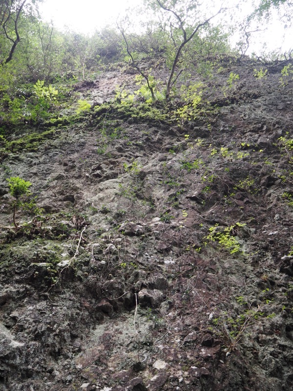 沼津アルプス登山