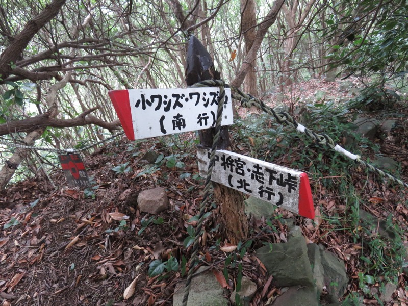 沼津アルプス登山