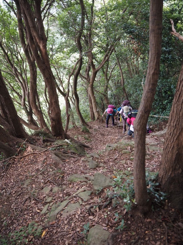 沼津アルプス登山