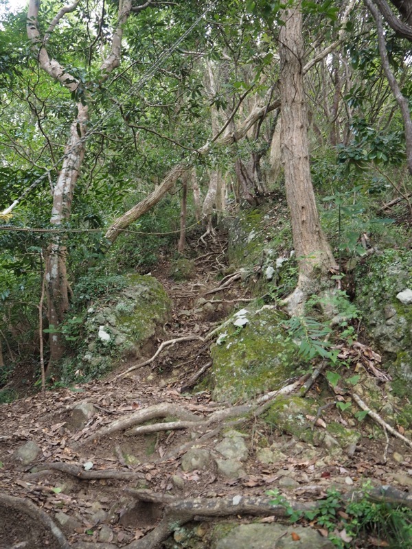 沼津アルプス登山