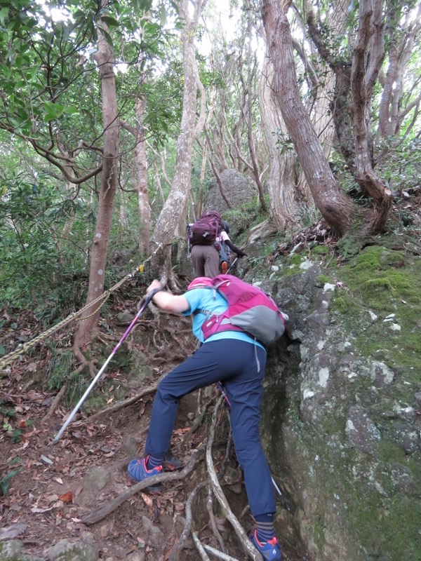 沼津アルプス登山