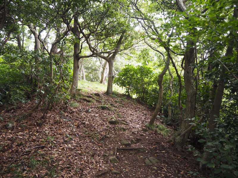 沼津アルプス登山