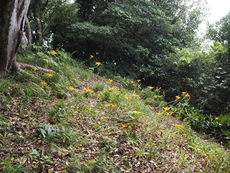 沼津アルプス登山