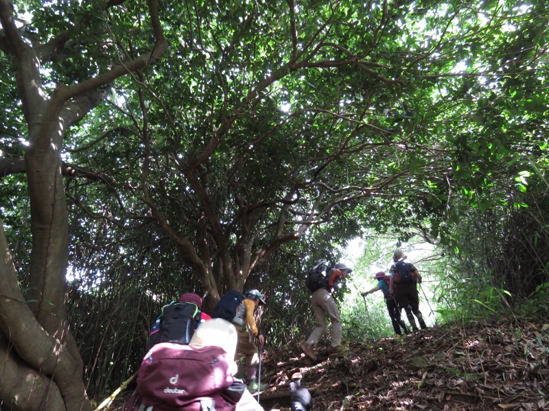 沼津アルプス登山