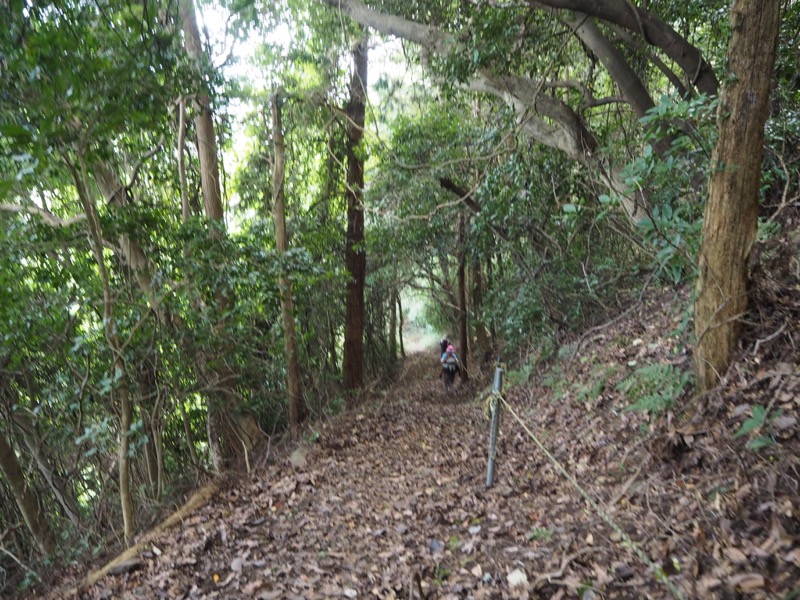 沼津アルプス登山