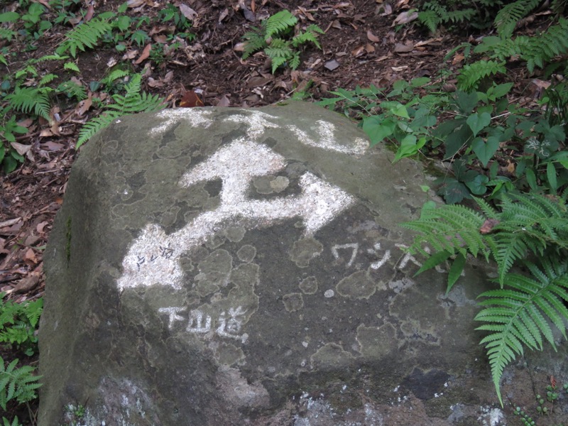 沼津アルプス登山