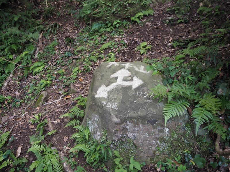 沼津アルプス登山