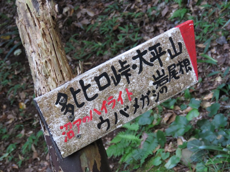 沼津アルプス登山