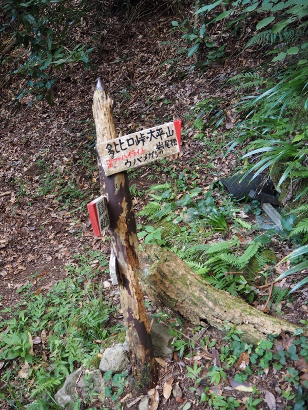 沼津アルプス登山