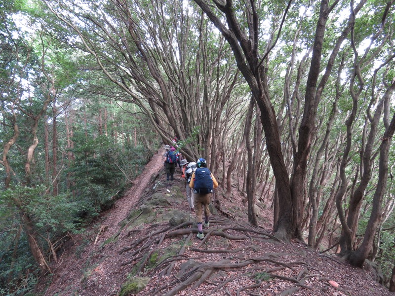 沼津アルプス登山