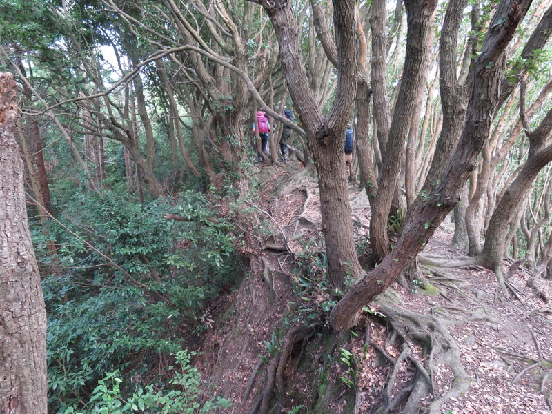 沼津アルプス登山