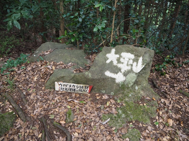 沼津アルプス登山